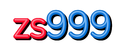 zs999 — logo kanal